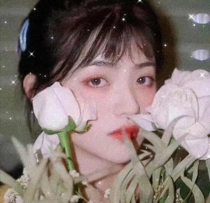 提剑映桃花