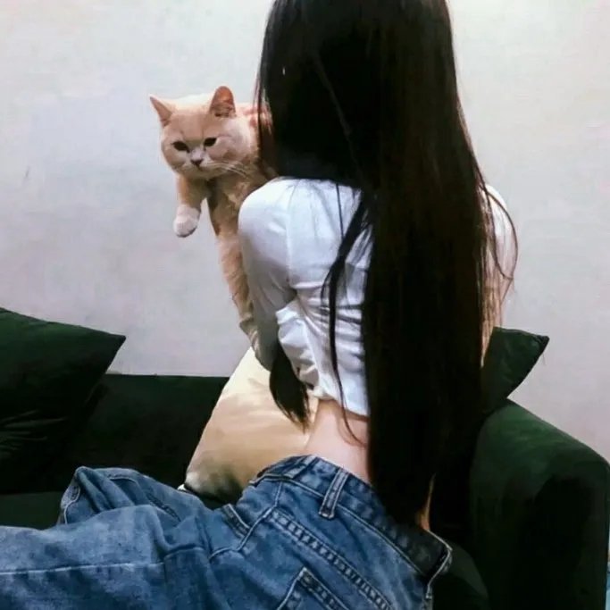 大清后宫